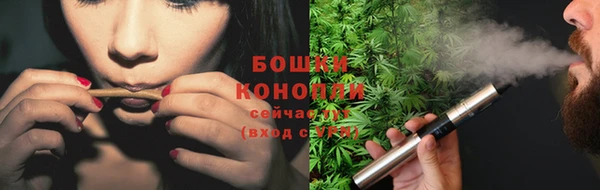 МДПВ Покровск