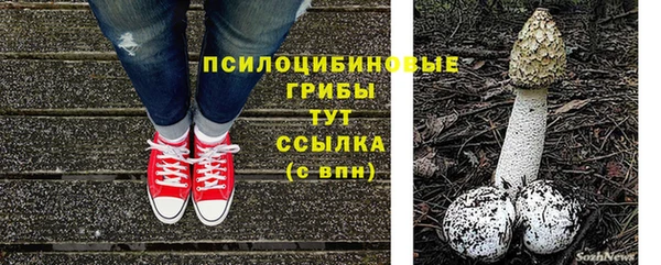 МДПВ Покровск