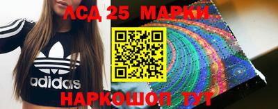 гидра Славгород