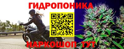 бошки Славянск-на-Кубани