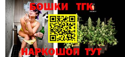 гидра Славгород