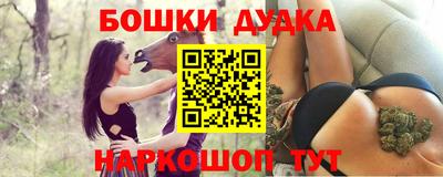 гидра Славгород