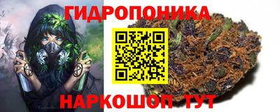 гидра Славгород