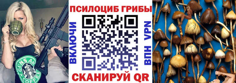 магазин продажи Сальск Псилоцибиновые грибы GOLDEN TEACHER