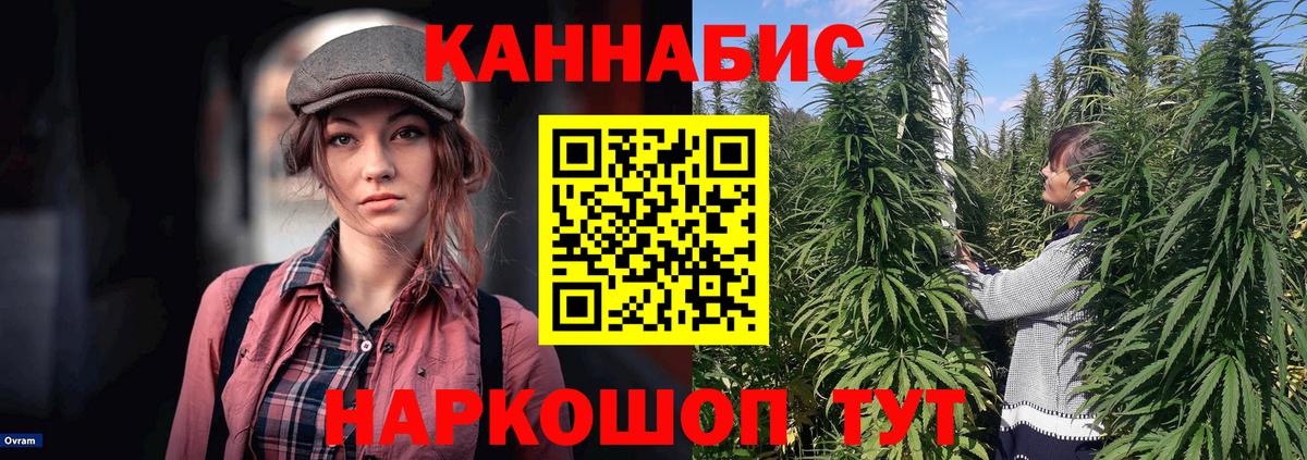 Бошки Шишки SATIVA & INDICA  Вход с VPN  Сальск  Марихуана SATIVA & INDICA  Конопля семена  Каннабис LSD WEED 